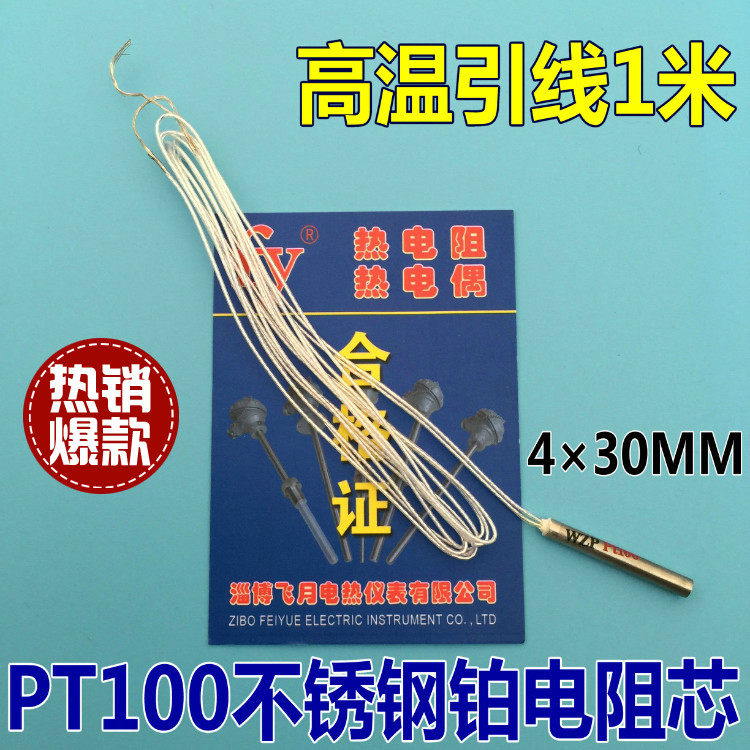 PT100 platinum resistance thermal resistance temperature monitor PT1000 temperature sensor stainless steel thermal resistance core