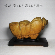 Songhua stone strange stone wool natural original ornamental stone Lingbi Stone gold Baoyu twelve zodiac bull