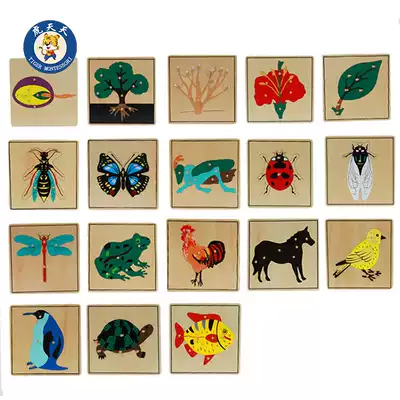 Tiger Everyday Montessori Science and Culture Panel Teaching AIDS Animals and Plants Insects Puzzle Flower Bird Frog Snail Leaves