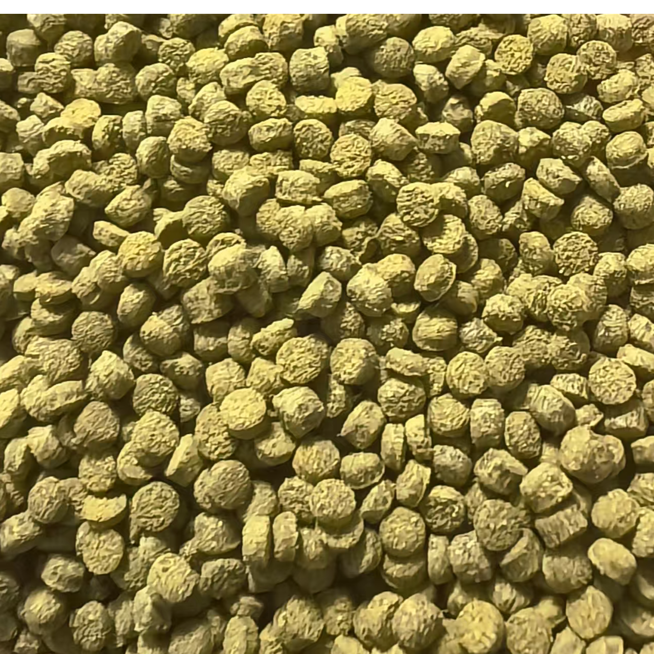 兆晖金鱼饲料：小鱼也有大餐