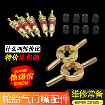 Vacuum Tire Valve Core Car Motorcycle Electric Car Valves nozzle Core Bicycle valve needle valve wrench
