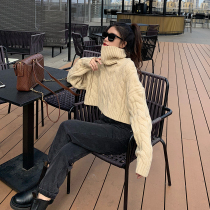 Jing Ye 2020 new short autumn and winter thick twist loose wear thin pullover turtleneck sweater female thick