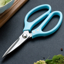 Sharp kitchen scissors stainless steel household scissors chicken feet duck fish barbecue special large paper-cut industrial thickening