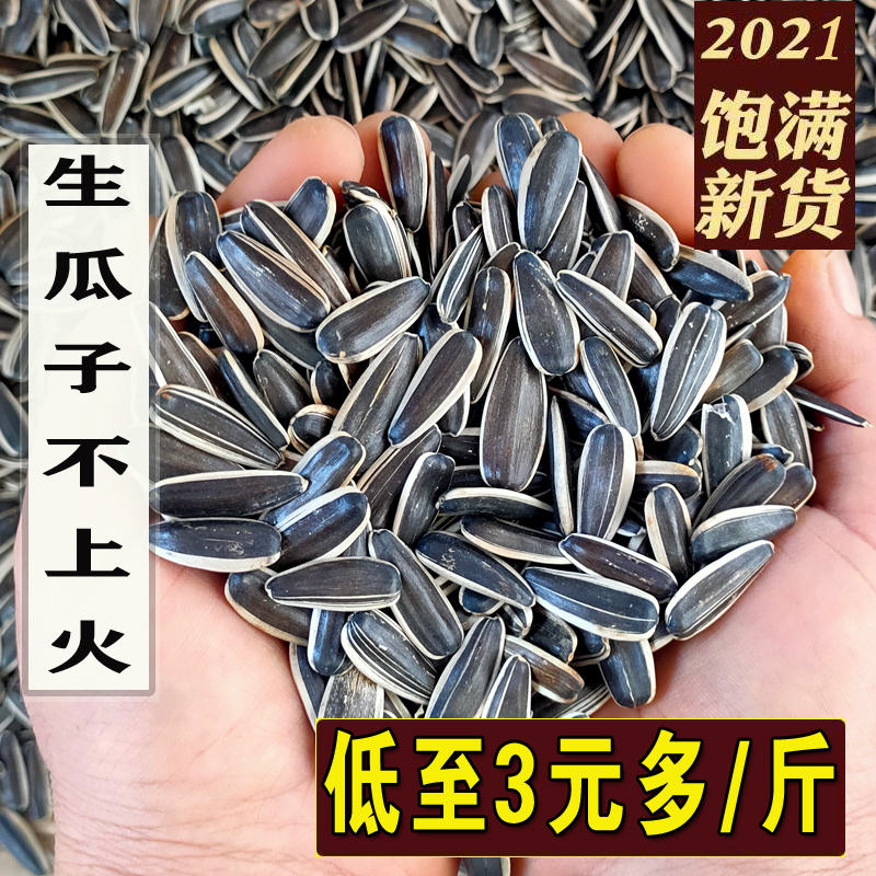 Inner Mongolia Hetao Wuyuan is now fried sunflower seeds original flavor melon seeds large particles bulk new sunflower seeds 5 catties