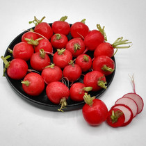 Potted cherry radish seed seed rapeseed species small radish seed all season with crisp and tasty fruit radish seed mini