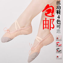 Dance shoes Soft bottom daughter Dancing Shoes Ballet Shoes Ballet Shoes Adults Womens Practice Shoes Yoga Shoes Cat Paw Shoes