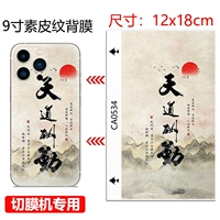 3M Vitiligo-CA0534