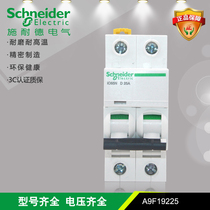 Schneider IC65N 2P D type 25A air switch 6KA small circuit breaker Order Number A9F19225