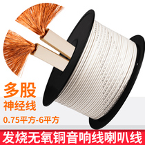 Fever sound box wire 4N oxygen-free copper winding professional sound wire horn wire horn wire car speaker modified horn wire