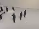 1/48 Салют