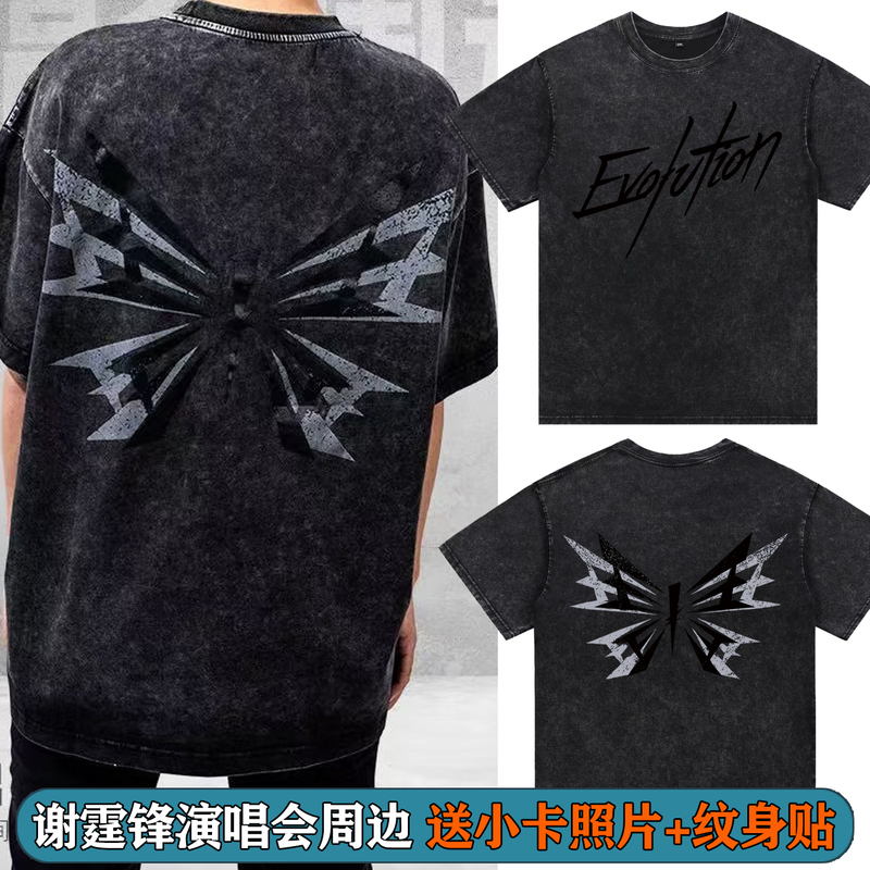 Nicholas Tse Evolution Concert Rock Butterfly Shenzhen Same Style Merchandise Short-Sleeve Washed T-Shirt Clothing