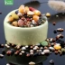 Chim bồ câu chim mồi chim chóc chim lồng lồng thực phẩm gốm hộp trung chuyển nước thiết bị chim - Chim & Chăm sóc chim Supplies lồng chim hút mật Chim & Chăm sóc chim Supplies