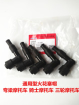 Dayang Motorcycle Parts DY48Q-2 5 90 110-2E 2F 70 125 Spark plug cap High pressure cap