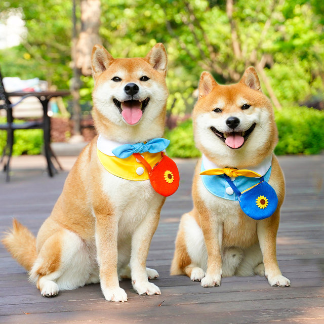 Springfield Huahua ໂຮງຮຽນອະນຸບານຫມາ Scarf ງາມ Shiba Inu Saliva ຜ້າພັນຄໍສາມຫຼ່ຽມອຸປະກອນເສີມ scarf ປັບໄດ້