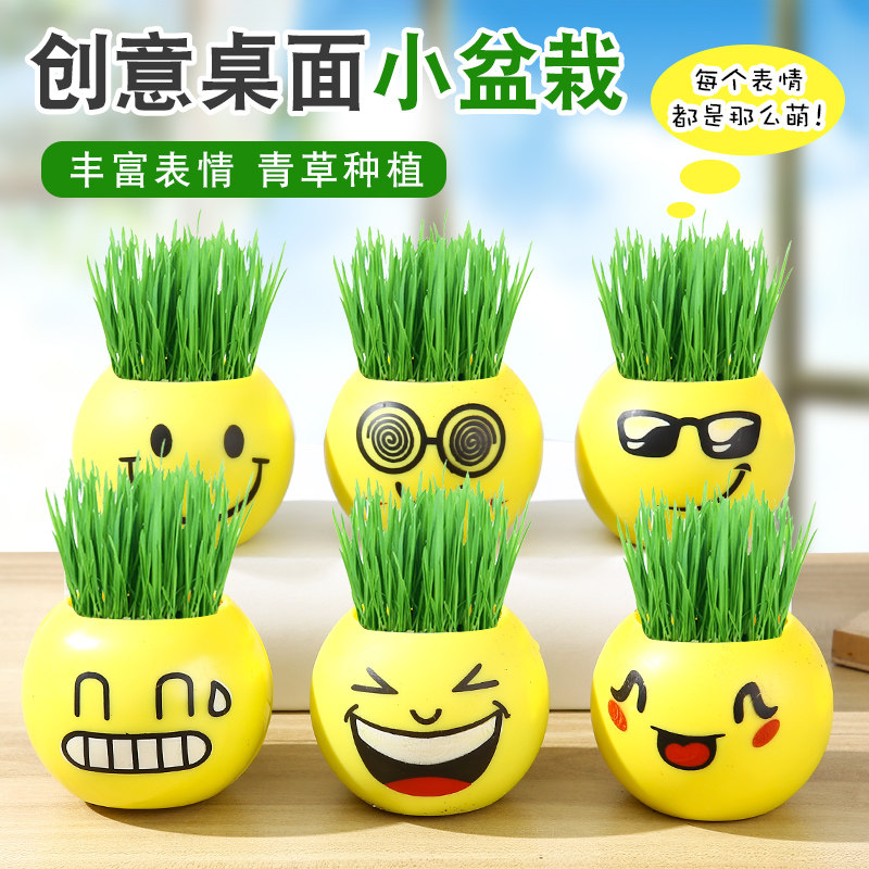 Grass Doll Mini Potted Plant Observation Growth Green Plant Creative Kindergarten Gift Student Prize Wholesale