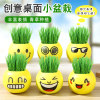 Grass Doll Mini Potted Plant Observation Growth Green Plant Creative Kindergarten Gift Student Prize Wholesale