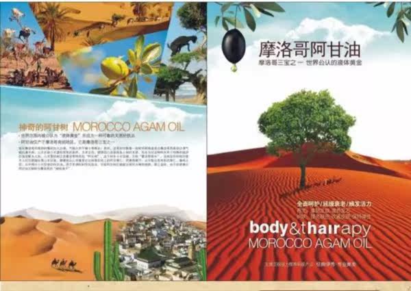 Entretien pour perruques - Ref 272344 Image 6