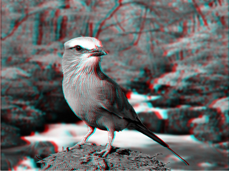 Lunettes 3D - Ref 1242064 Image 18
