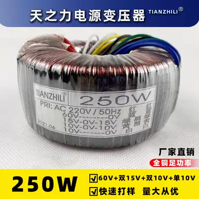 250W toroidal transformer 220V Single 60V double 15v double 10v Single 10V power amplifier power supply accessories copper power supply