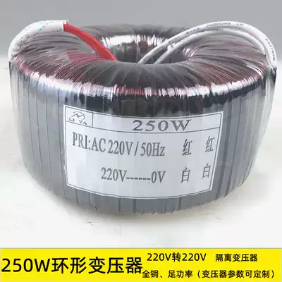 250W isolated toroidal transformer 220V to 220V pure copper lightning protection power equipment accessories manufacturers customized