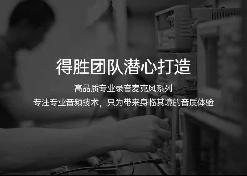 Микрофон takstar/得胜sm-18 el粉色电容麦克风直播设备录音唱歌电脑声卡