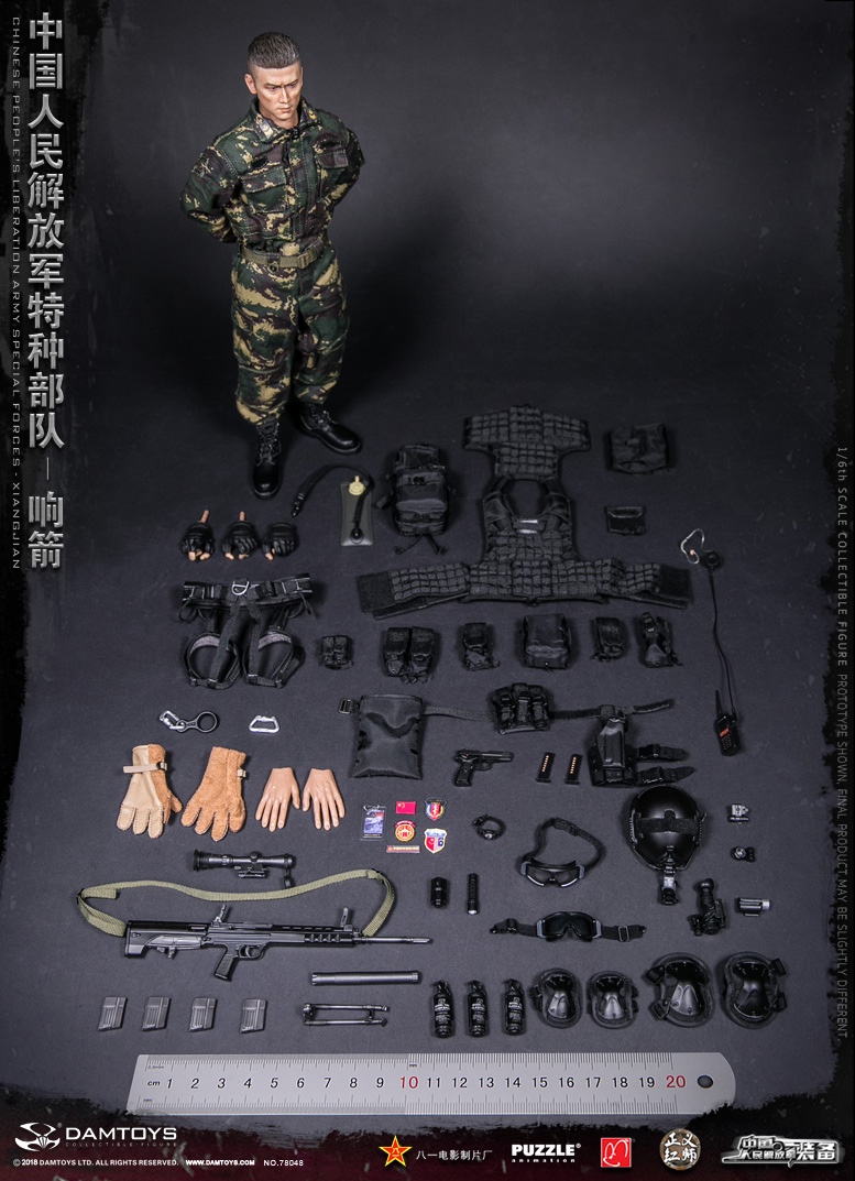 【DAMTOYS】78053 1/6 CHINESE PEOPLE&#39;S ARME Damtoys 78053 1/6 Chinese People'S Armed Police Force Snow