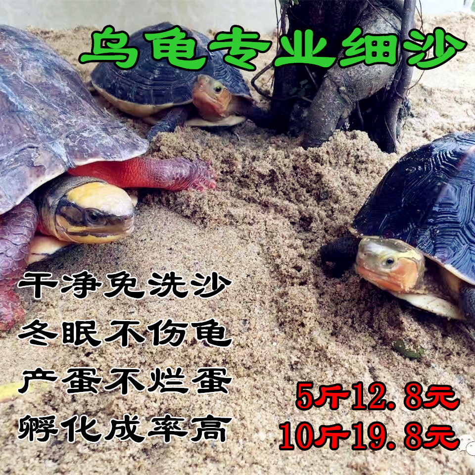 Turtle sand natural wash-free toy sand fish tank landscaping turtle supplies hibernation egg laying hatch fine sand crawling pet mat