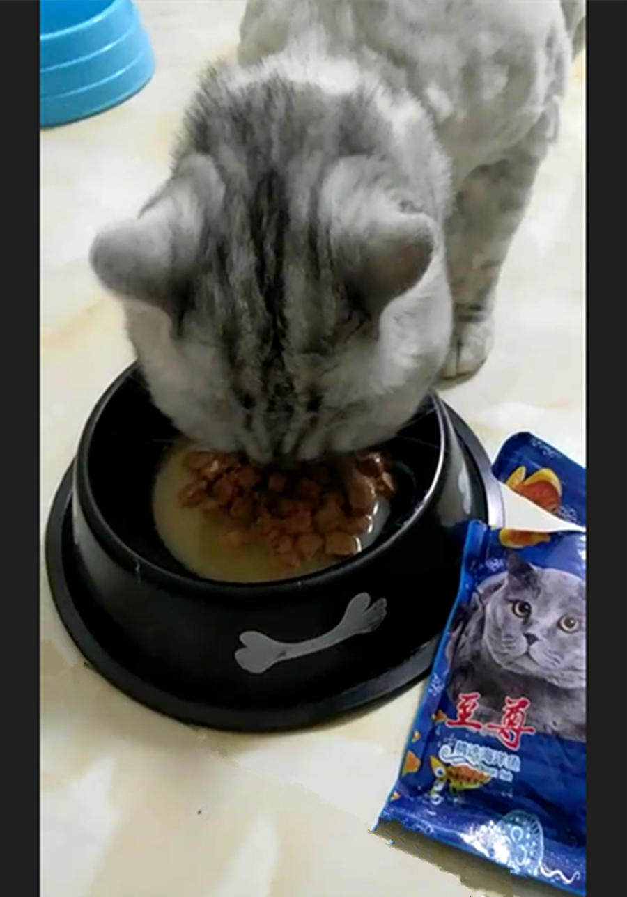贝 至尊 贝 110g * 24 Thức ăn ướt cho mèo thức ăn mềm đóng hộp thành thức ăn nhẹ cho mèo con mèo - Đồ ăn nhẹ cho mèo hạt tốt cho mèo