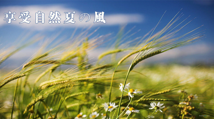 Ventilateur USB - Ref 401103 Image 51