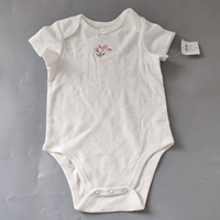 Розовый вишневый цвет