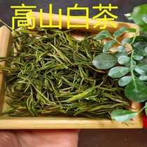 Anji white tea 2021 new tea bulk tea authentic rain pre-rain special gift box Alpine green tea