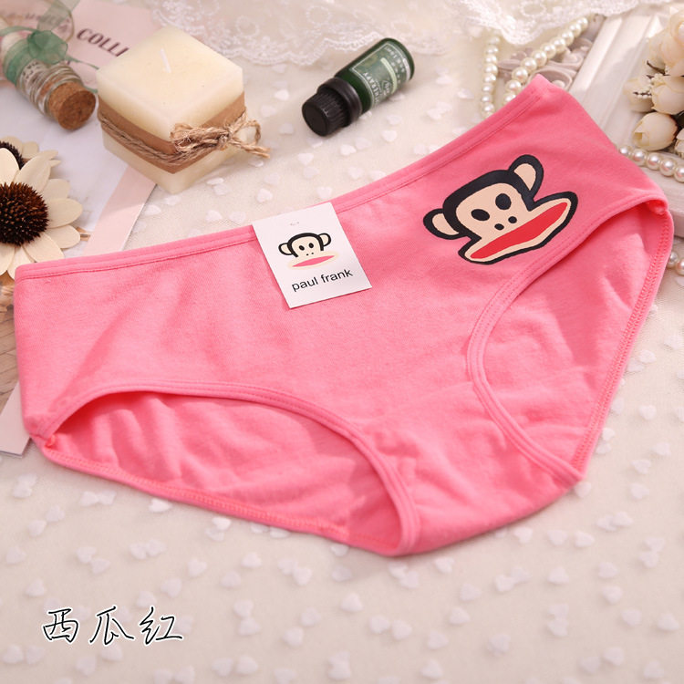 Slip jeunesse en coton - Ref 646497 Image 13