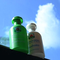 Finland Import Store Erittain Birch Shampoo Set Strong Root Healthy Hair Fine Soft Less Collapse 2 Bottles