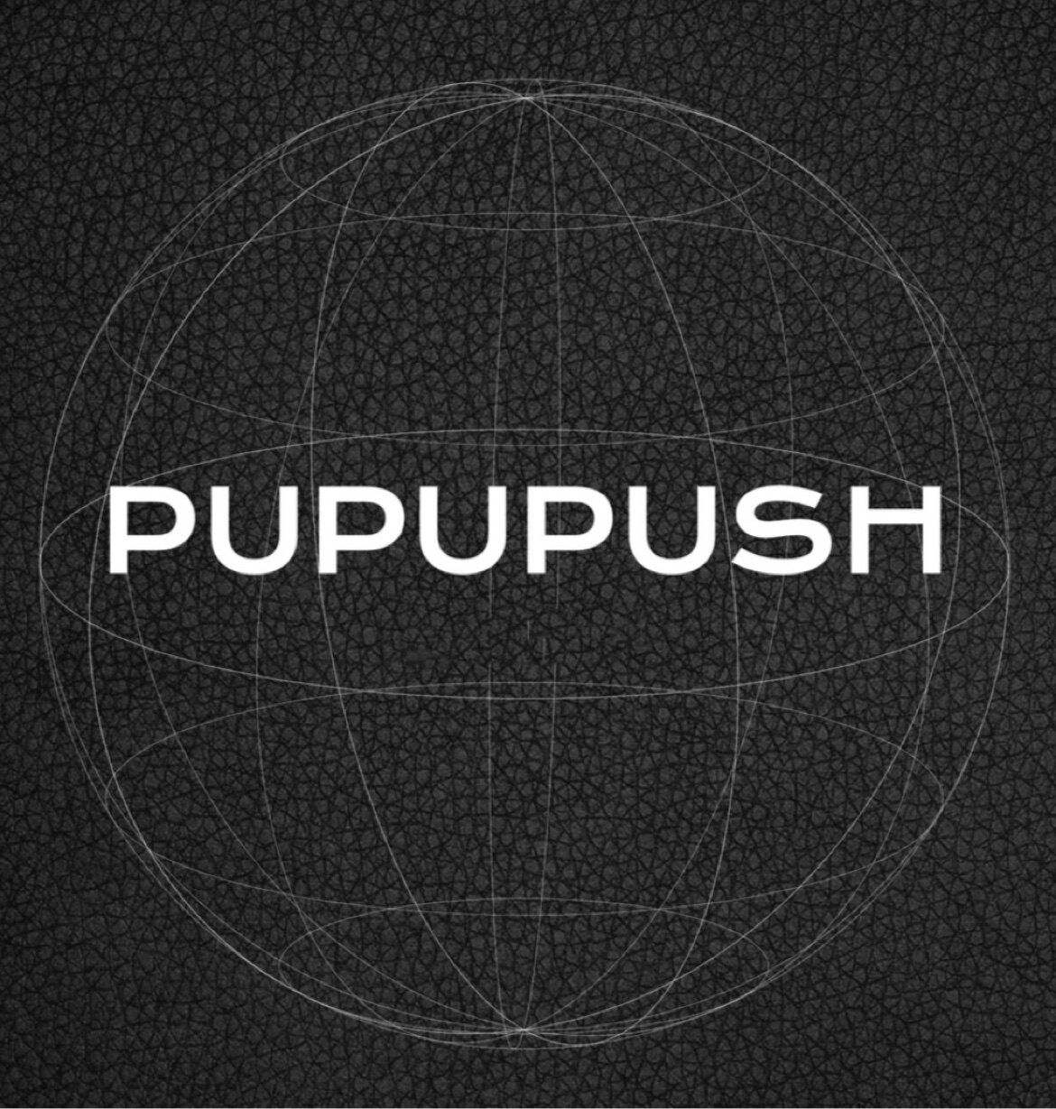 PUPUPUSH