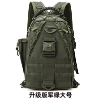 Большой, модернизированная версия