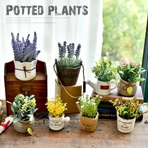 Fake flower green plant ornaments fashion succulent plant Mini Fresh small potted window sill model decoration simulation ornaments