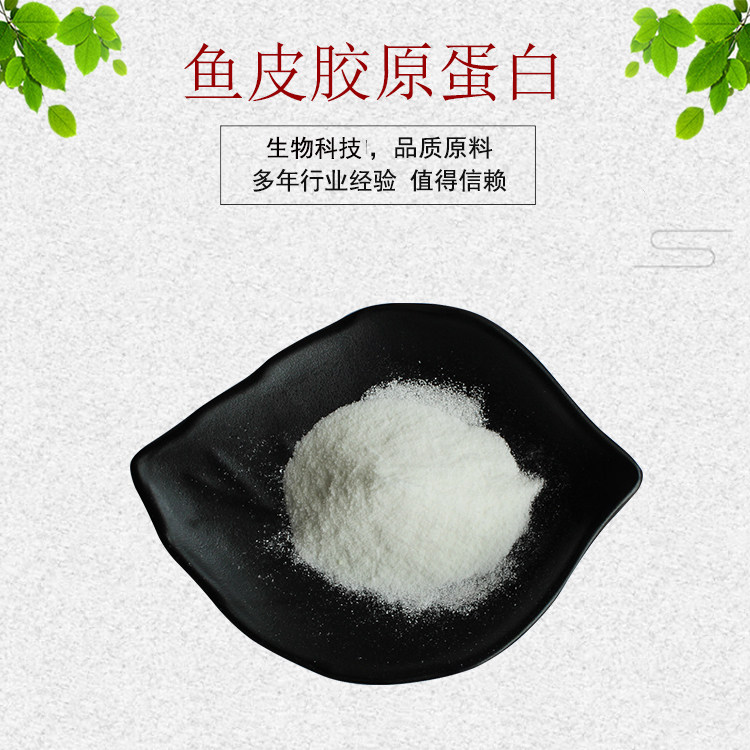 深海胶鱼蛋白90%蛋白 鱼皮/鱼鳞胶原蛋白 资质齐全 现货包邮