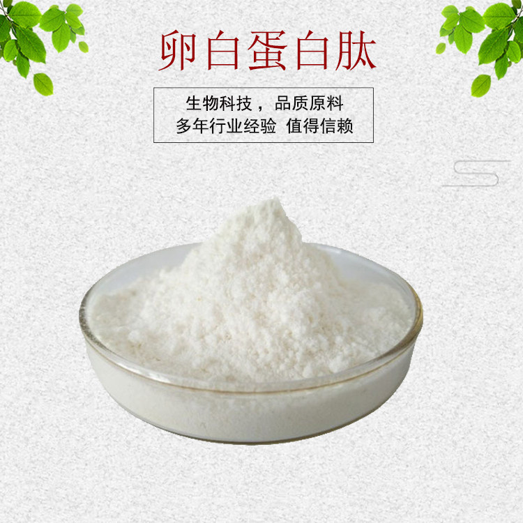 卵白蛋白肽99%卵清蛋白多肽 卵蛋白酶解物 量大从优 资质齐全包邮