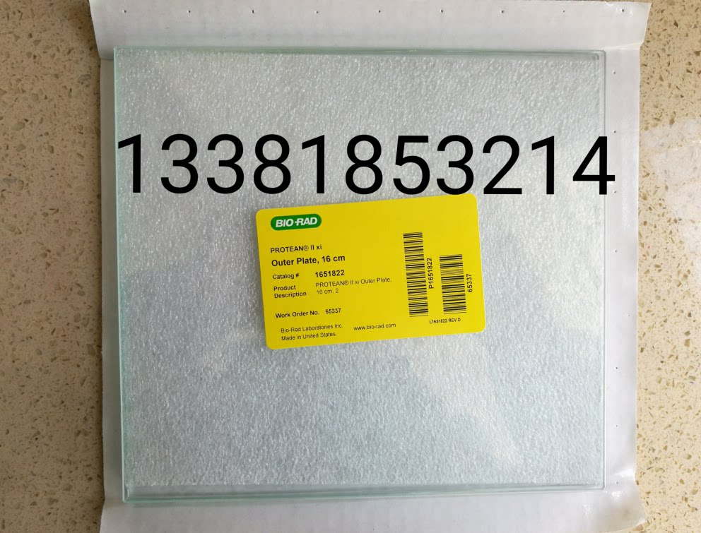 Bio-Rad伯乐165-1822电泳DGAE玻璃板外板18.3 x 20 cm 1651822