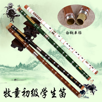 Shepherd boy flute Musical instrument Beginner student flute professional bitter bamboo horizontal flute black and white single white copper bamboo flute refined