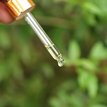 Tanglue 6-year-old camellia oil 20ml massage oil for babies