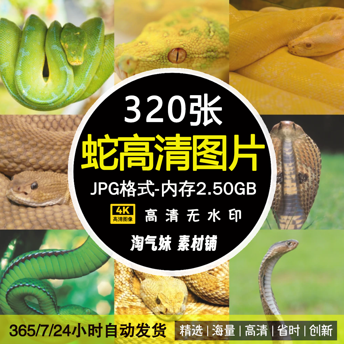 高清JPG蛇图素材，4.42买到就是赚到！_游戏图片_淘宝游戏网, image size:1200x1200