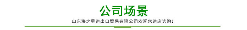 公司场景