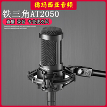 Audio Technica Iron Triangle AT2050 2050 condenser microphone live recording