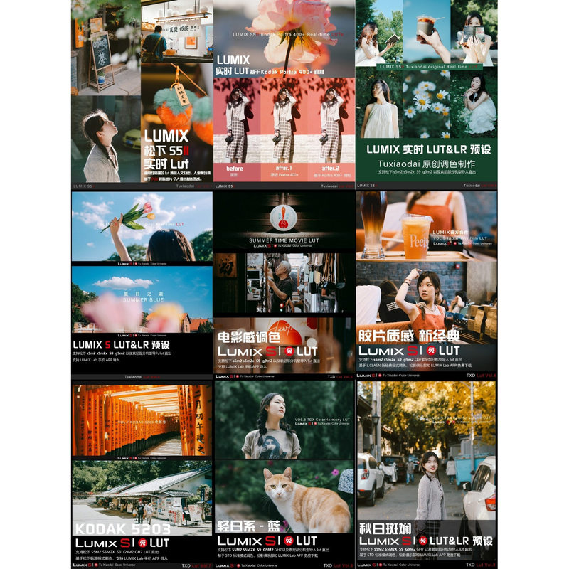 Rabbit Xiaodai Lut Preset Package (Does Not Include Subsequent New Additions)