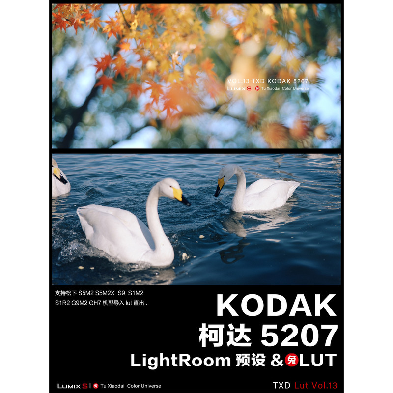 Vol.13 Kodak 5207 Film Presets & Luts Ps Lr Davinci S5M2/X S1R2 S9
