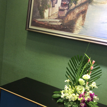 Dark green solid seamless wall cloth deerskin pink sky blue gray clean wall cloth living room bedroom full shop