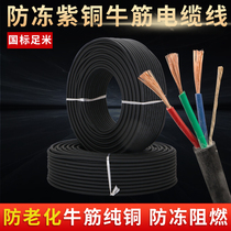 Pure copper cable outdoor antifreeze wire sheath three-core 1 5 2 5 4 square power cord 50 100 meters