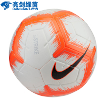 NIKE NIKE adult No. 5 4 youth competition training machine sewing durable football SC3310