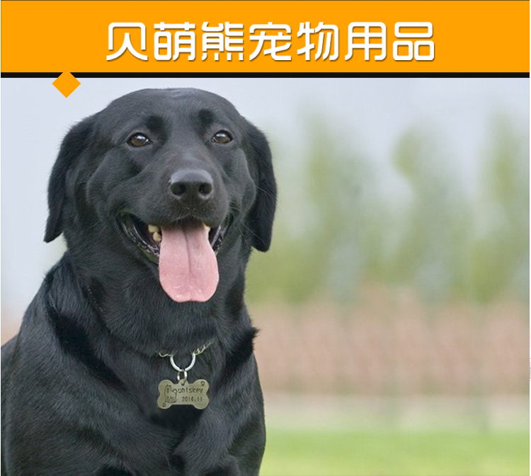 New pet hình chữ S TPR cao su gai trong suốt xương lớn Teddy mol cắn cat dog đào tạo con chó đồ chơi chọn đồ chơi cho mèo